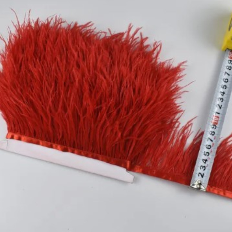 piume-di-struzzo-8-10-cm-rosse Piume di Struzzo - immagine 1